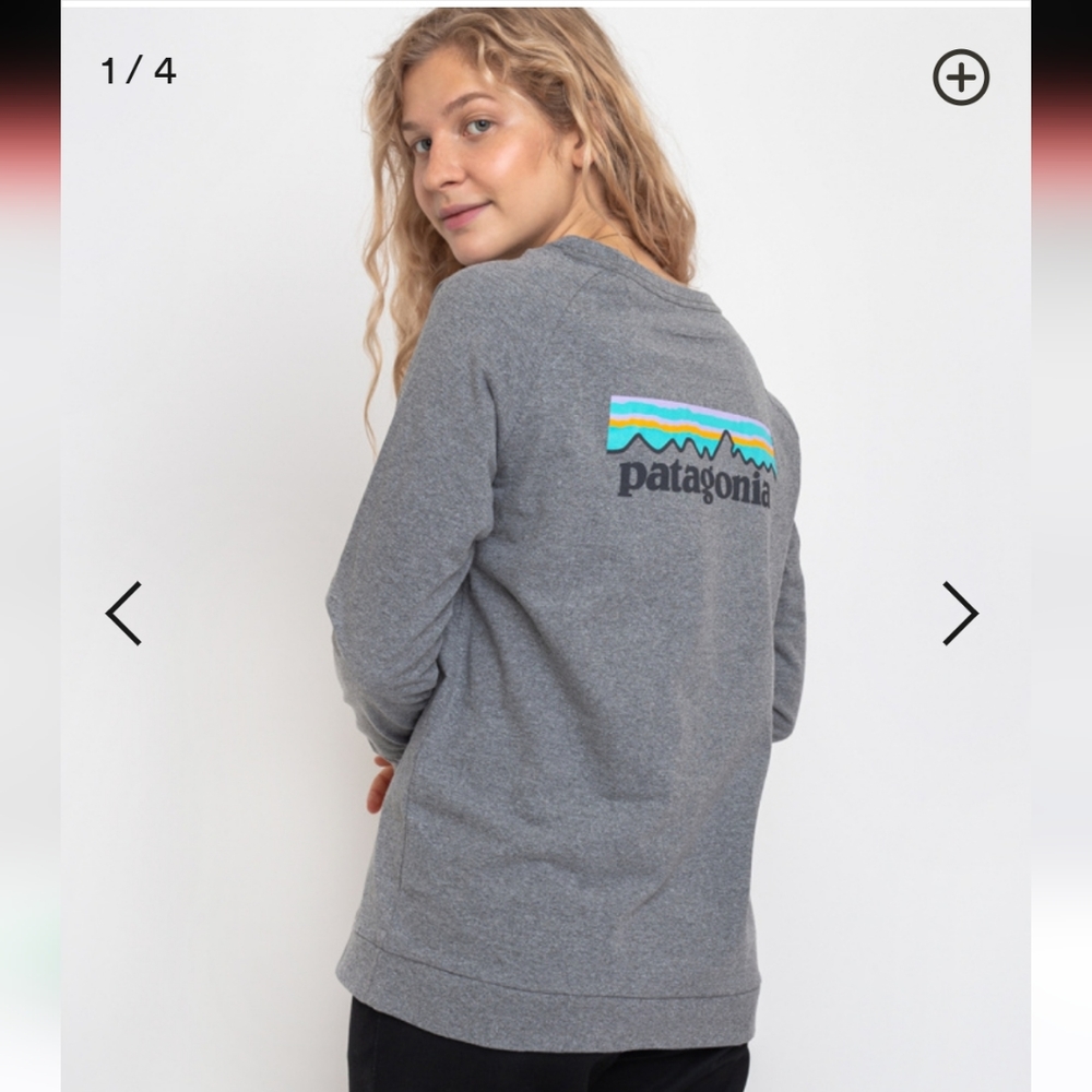 Patagonia Logo Reaponsibili Tee - Picture 2 of 12